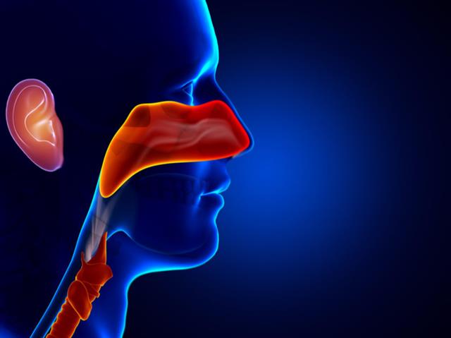 History Taking and the ENT Examination