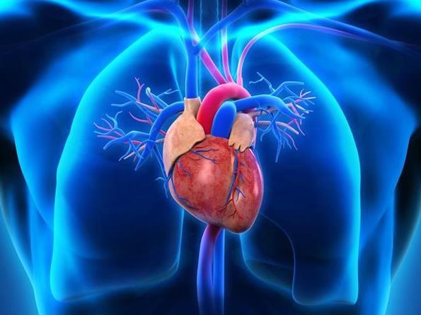Introducing Cardiovascular Disease (CVD) – A Course for NAs